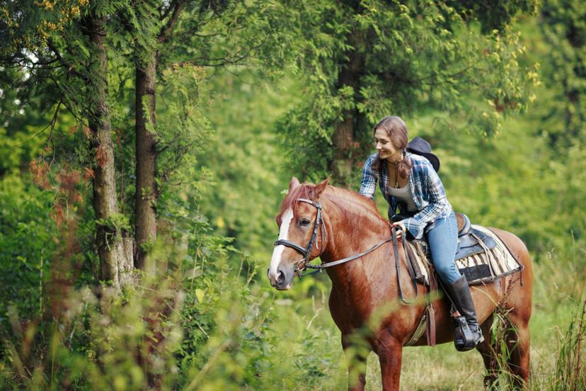 Ratsutamine hobusega metsarajal