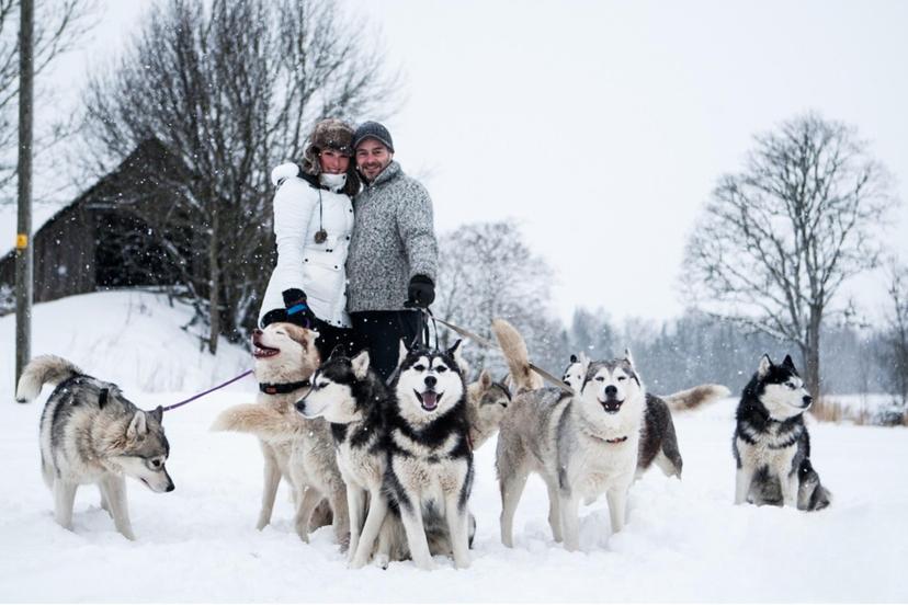 Matk Siberi Huskydega kahele