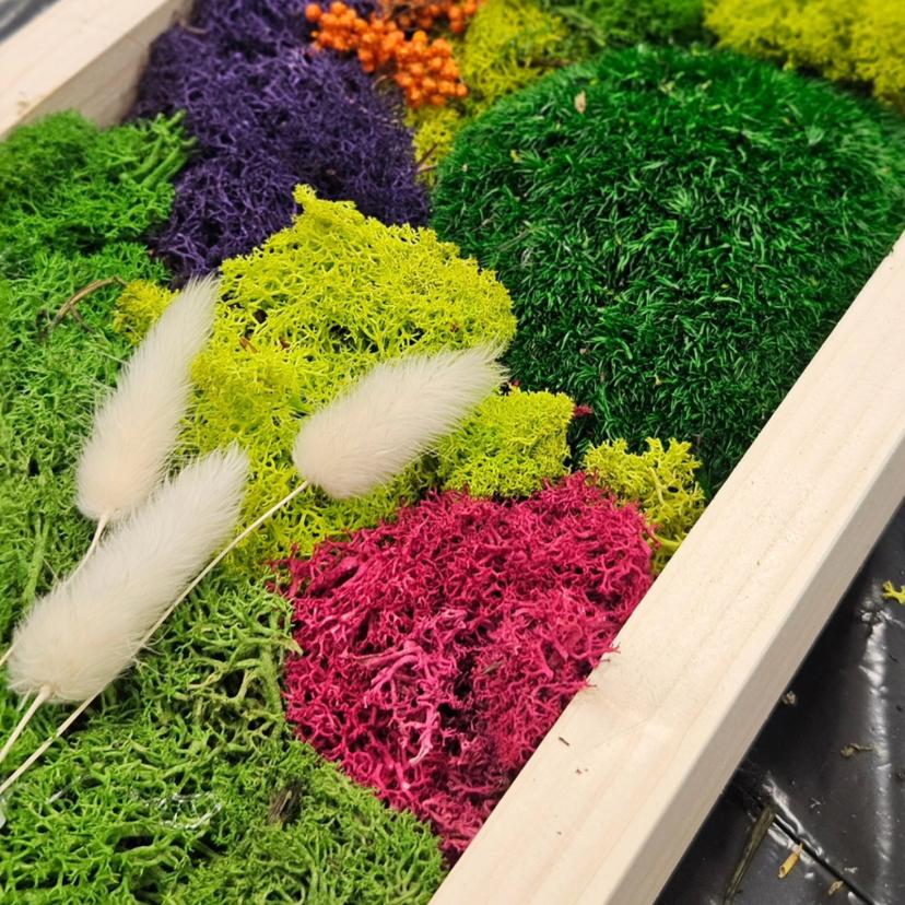 Vein & Pintsel "Samblakunst"