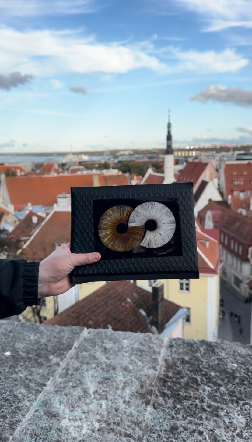 Kunstiline iirise fotograafia koos A4 prindiga