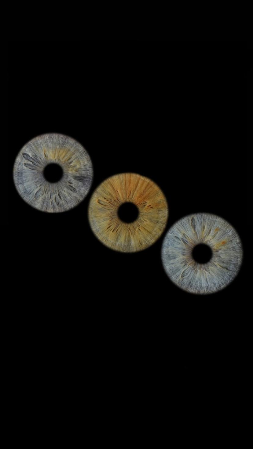 Kunstiline iirise fotograafia koos A3 prindiga kolmele