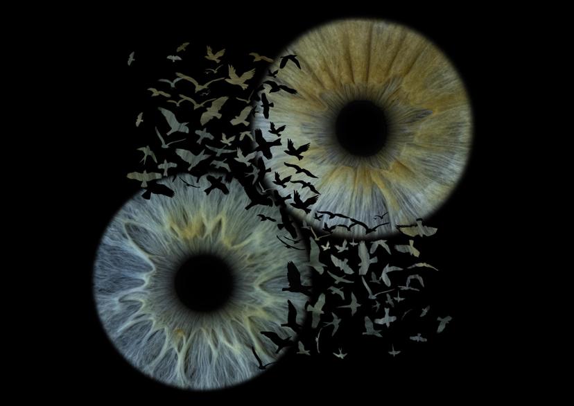 Kunstiline iirise fotograafia koos A3+ prindiga kolmele