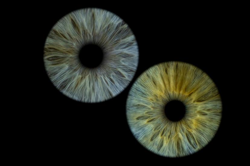 Kunstiline iirise fotograafia koos A4 prindiga kolmele